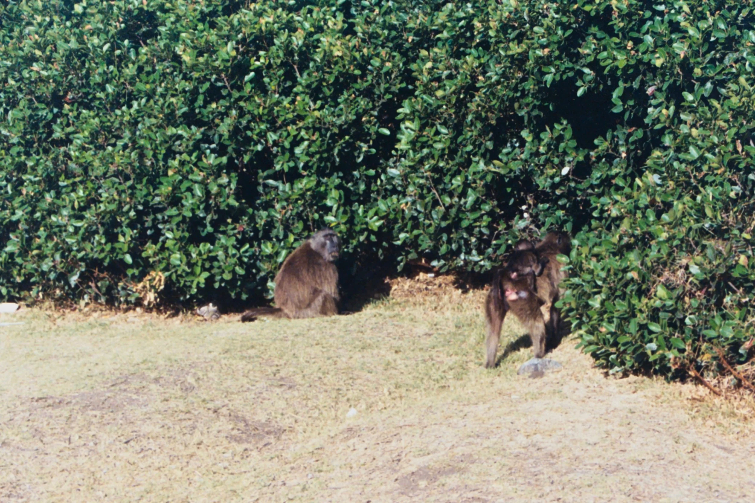 mcgrath_mAA030.jpg