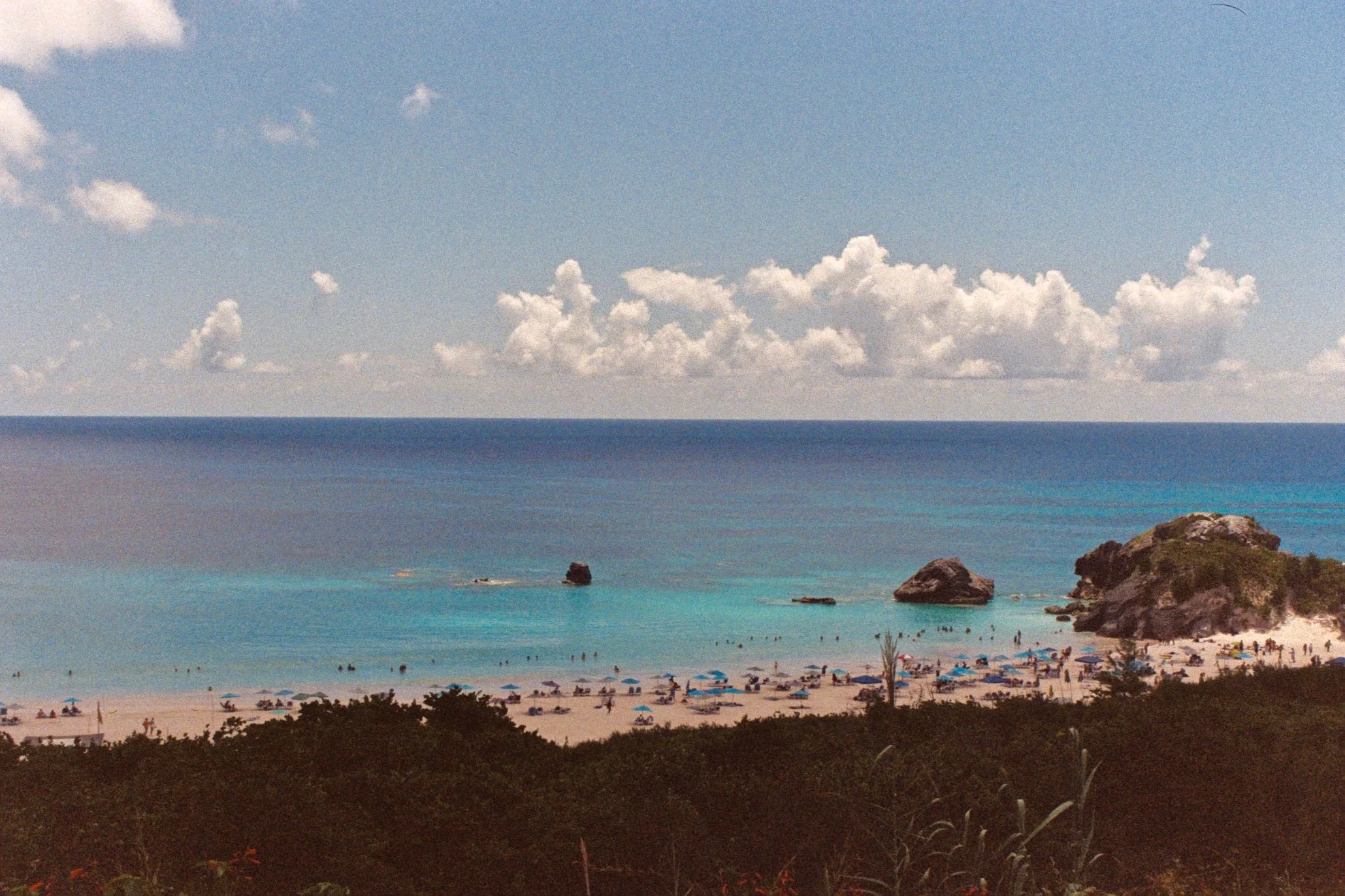 mcgrath_mAA030.jpg