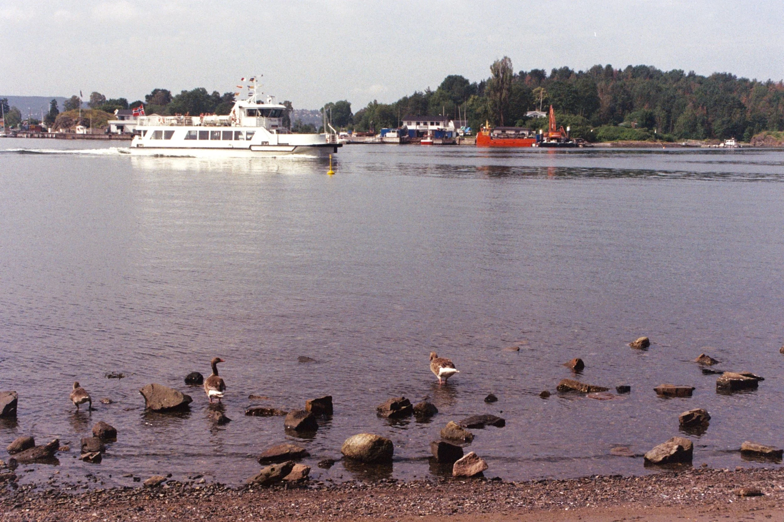 mcgrath_mAA011.jpg