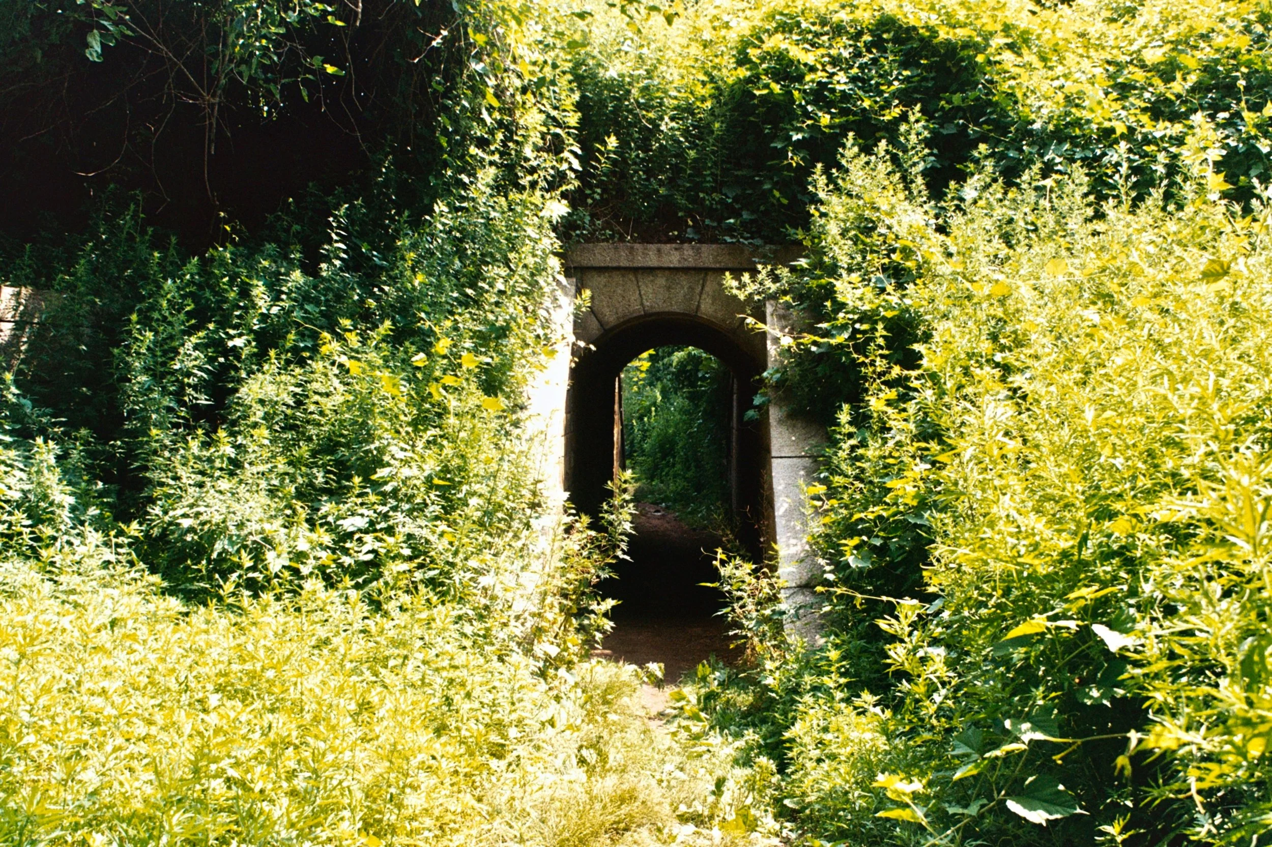 mcgrath_mAA010.jpg
