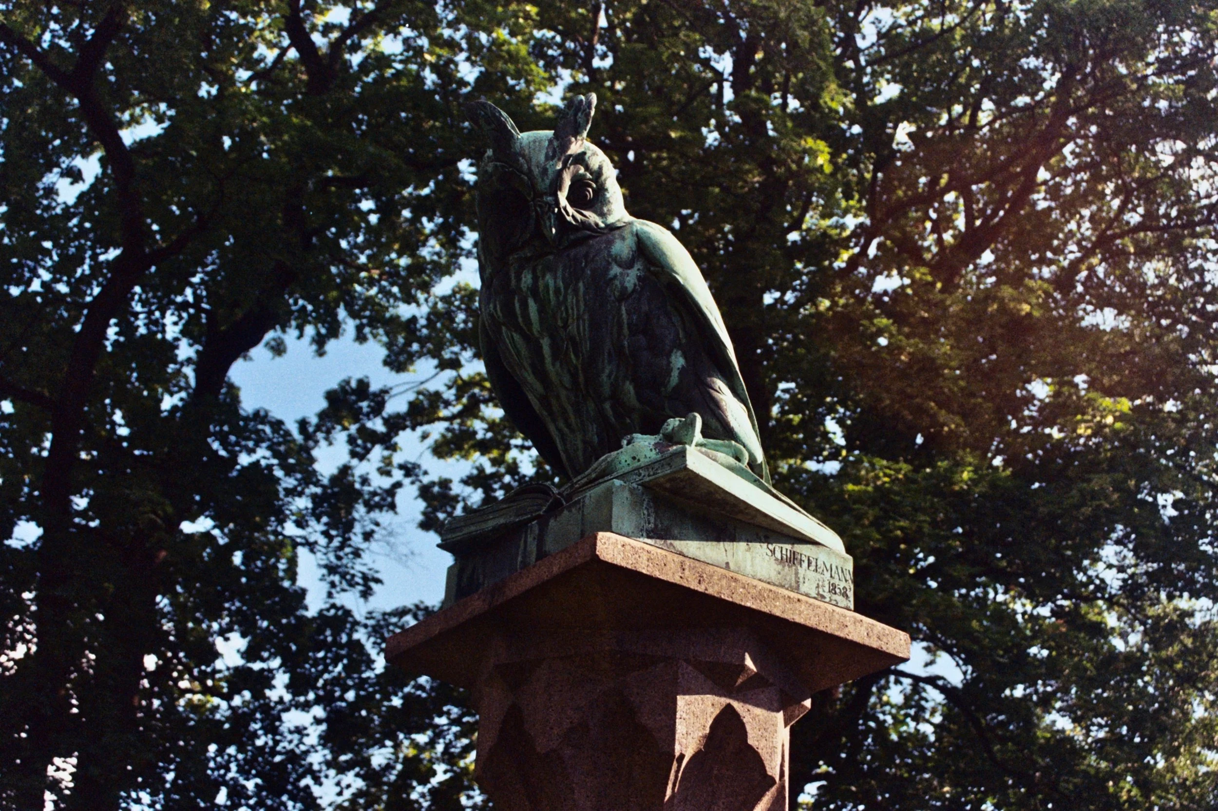 mcgrath_mAA009.jpg