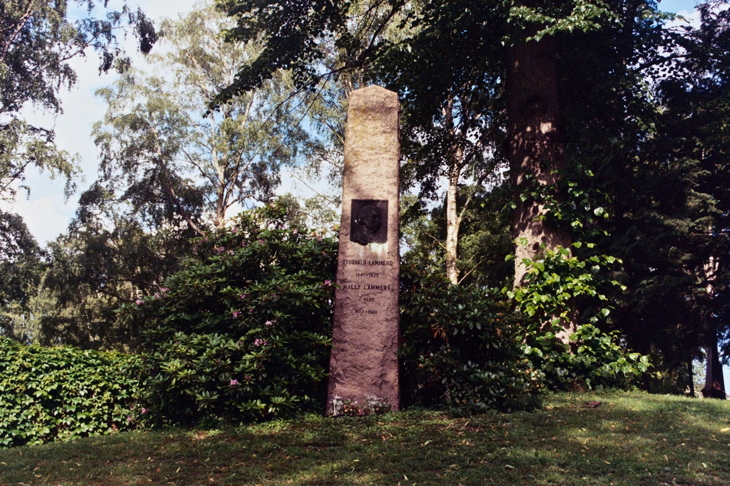 mcgrath_mAA019.jpg