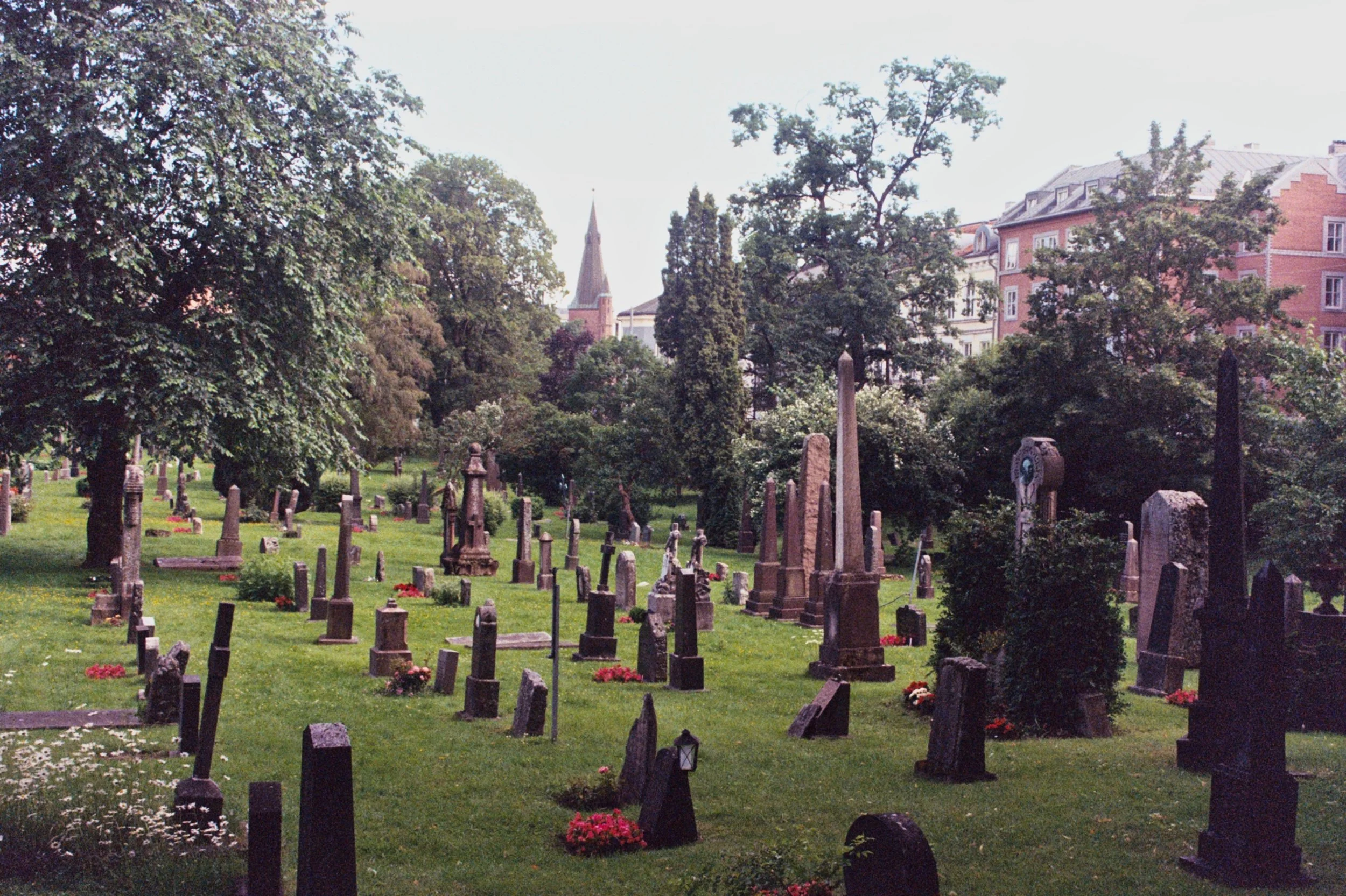 mcgrath_mAA025.jpg