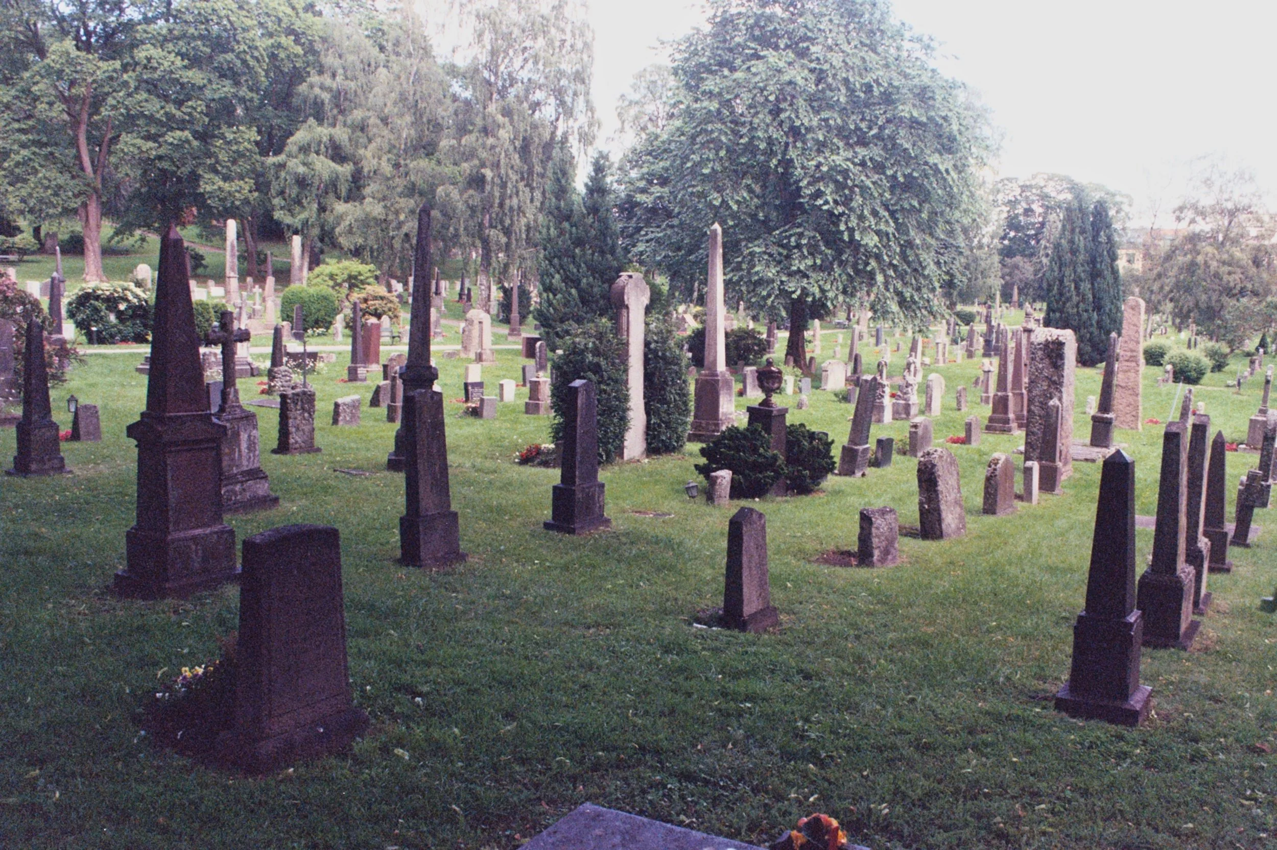 mcgrath_mAA027.jpg