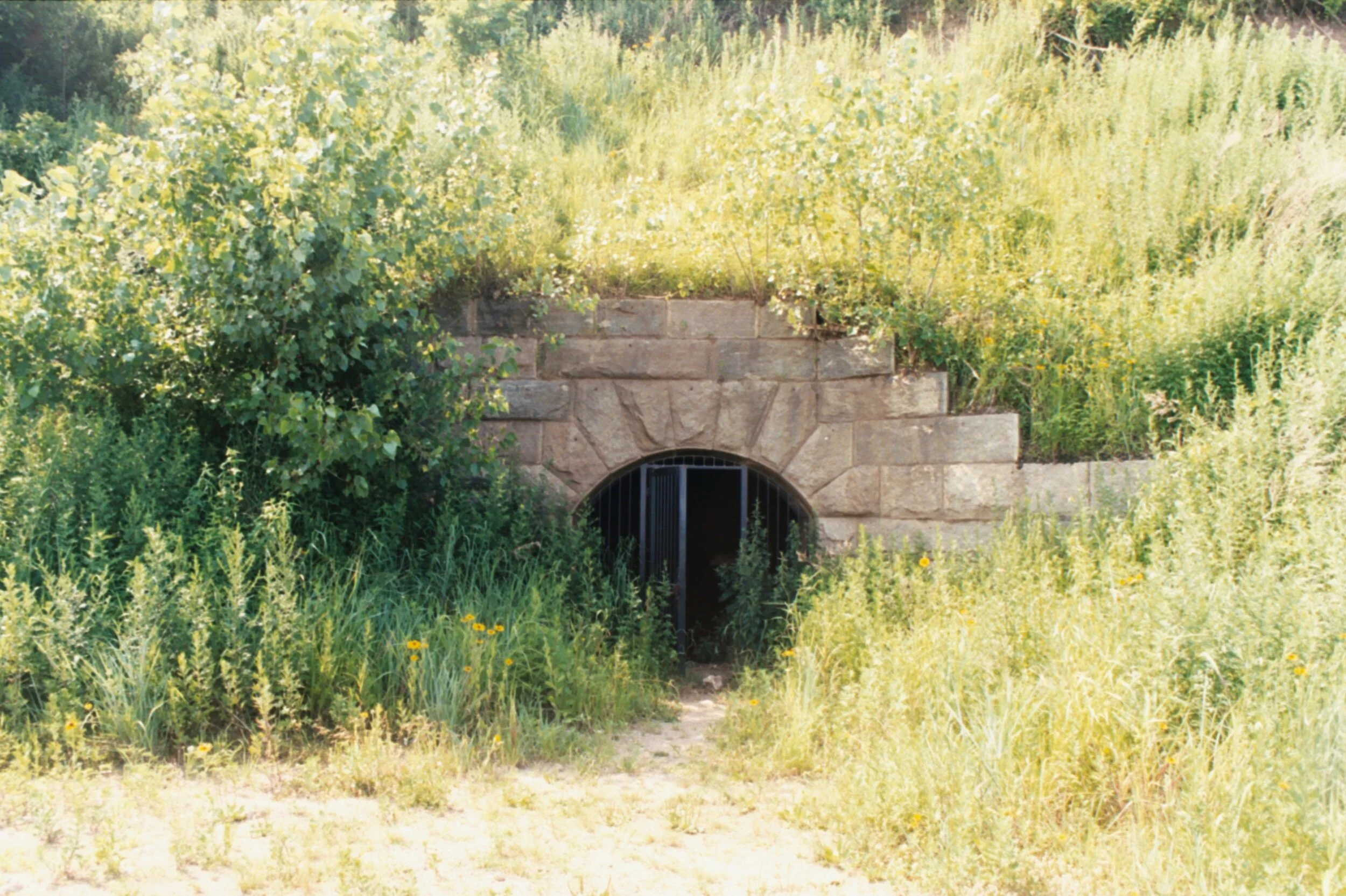 mcgrath_mAA036A.jpg