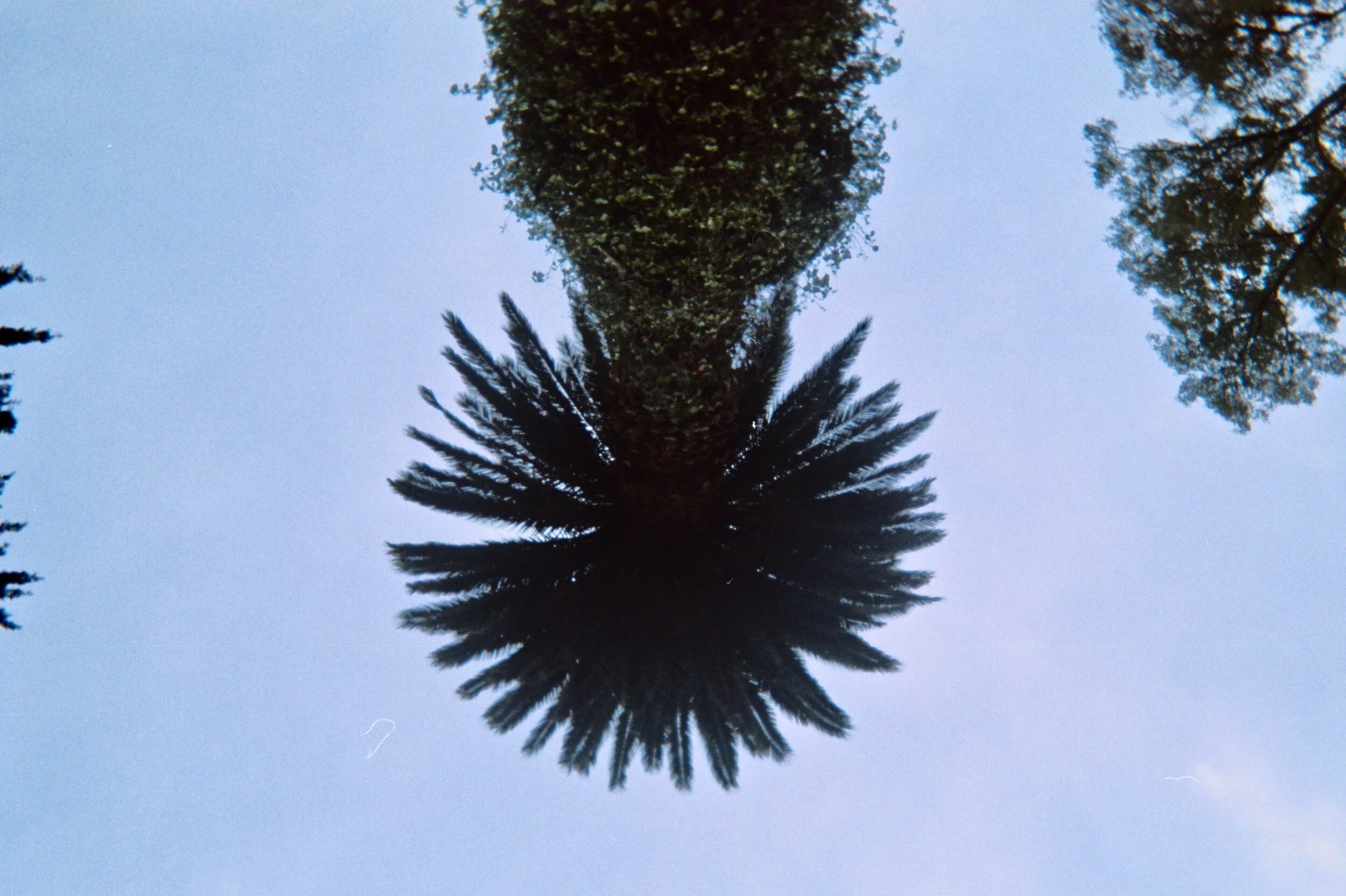 mcgrath_mAA004.jpg