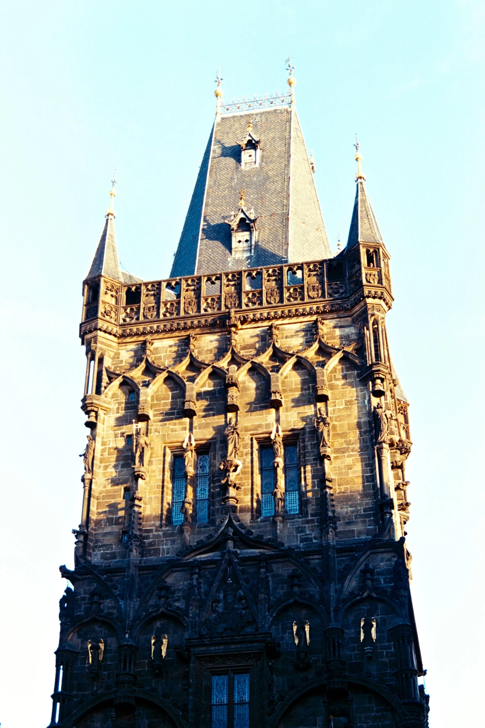 mcgrath_mAA014.jpg