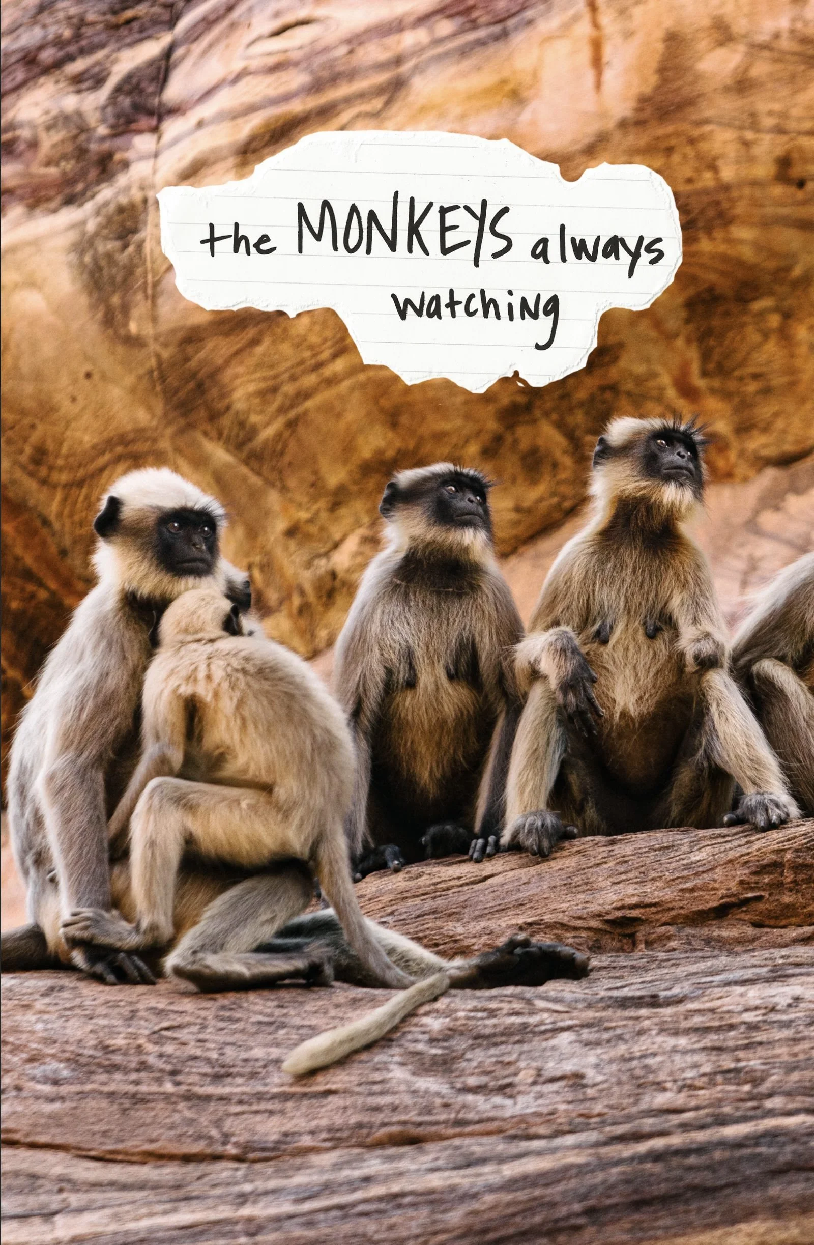 Screen Shot 2024-01-19 at 8.13.23 AM.jpeg