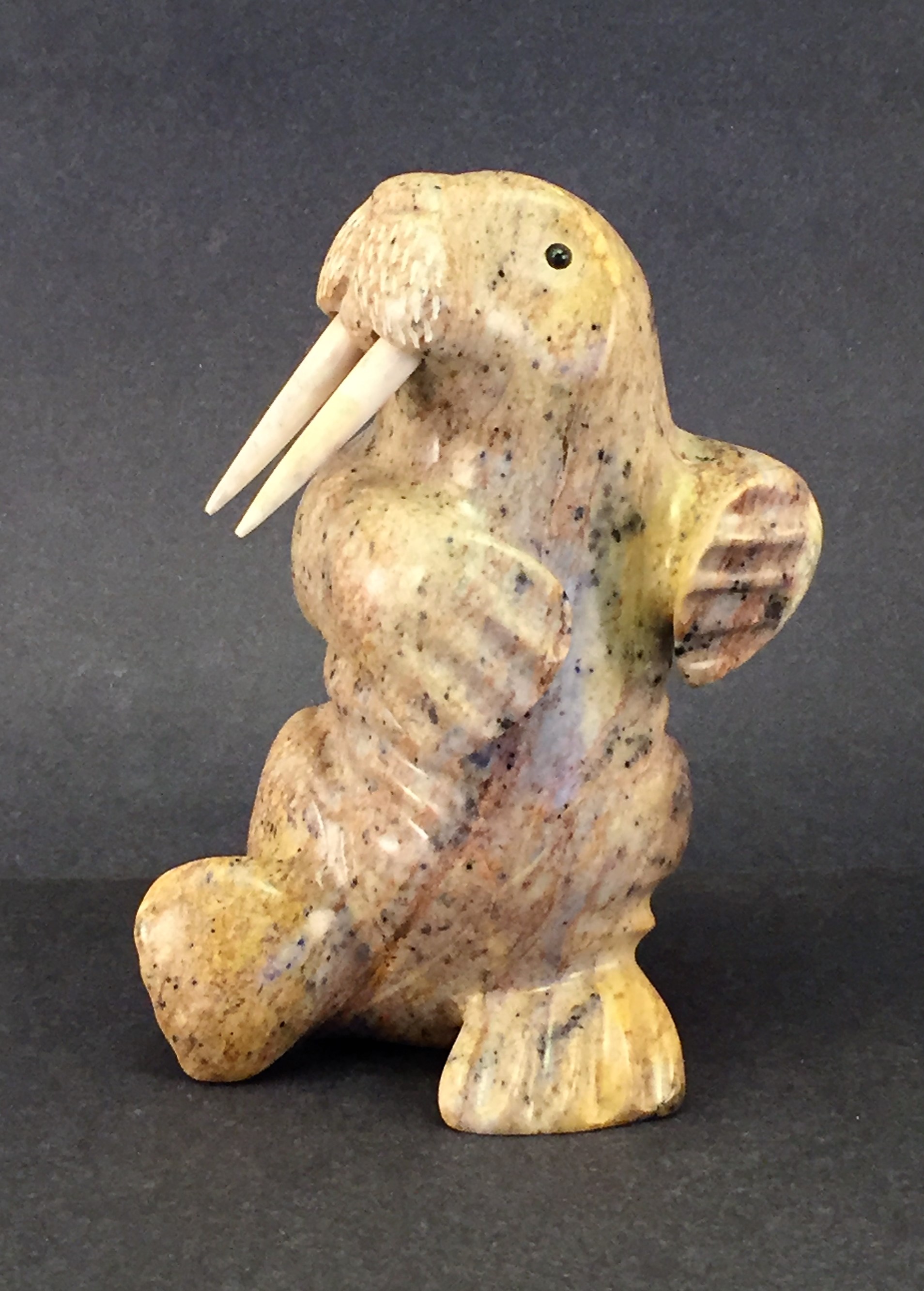 DANCING WALRUS