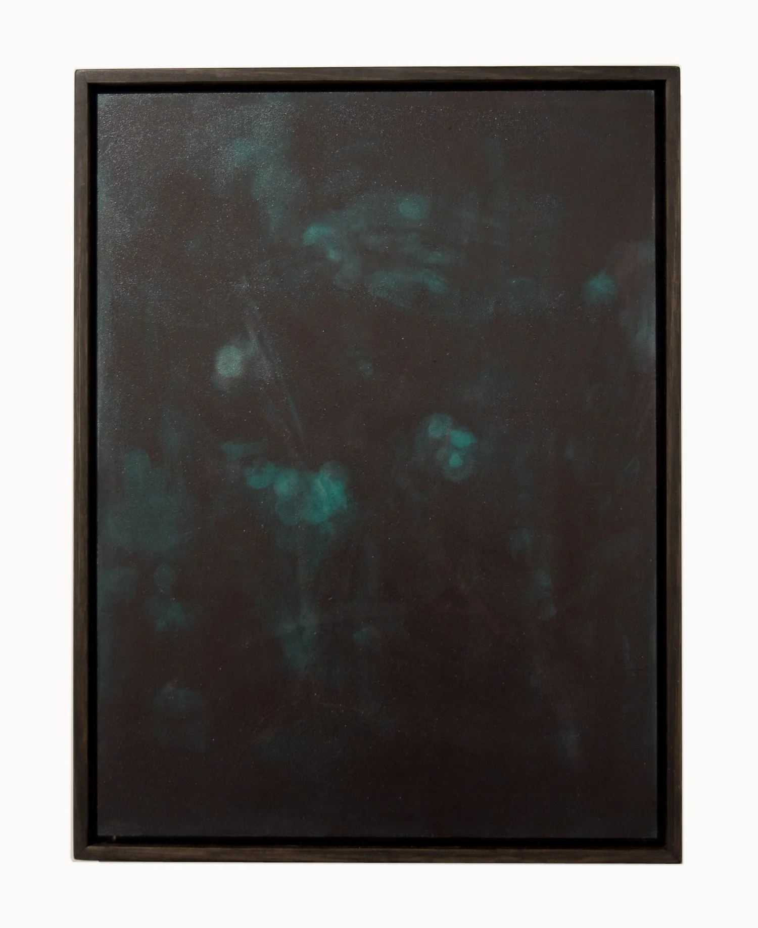 Hemlock 2017 oil on board 42.5x32.5cm framed
