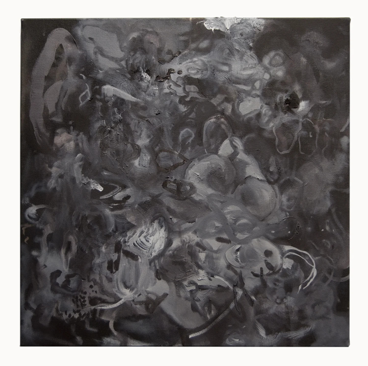 Followed 2017 sythetic polymer paint and oil on canvas 61X61cm