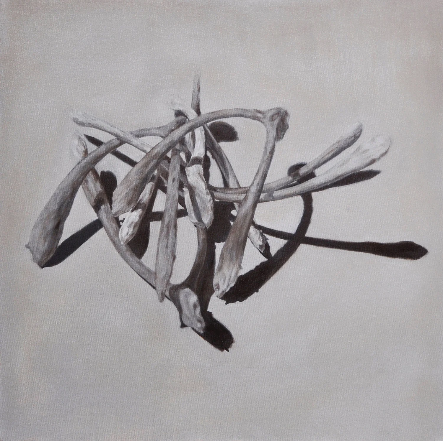 Bones 2016 oil on canvas 51X51cm