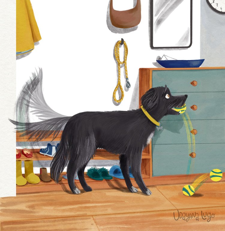 Zoomies-tail droop