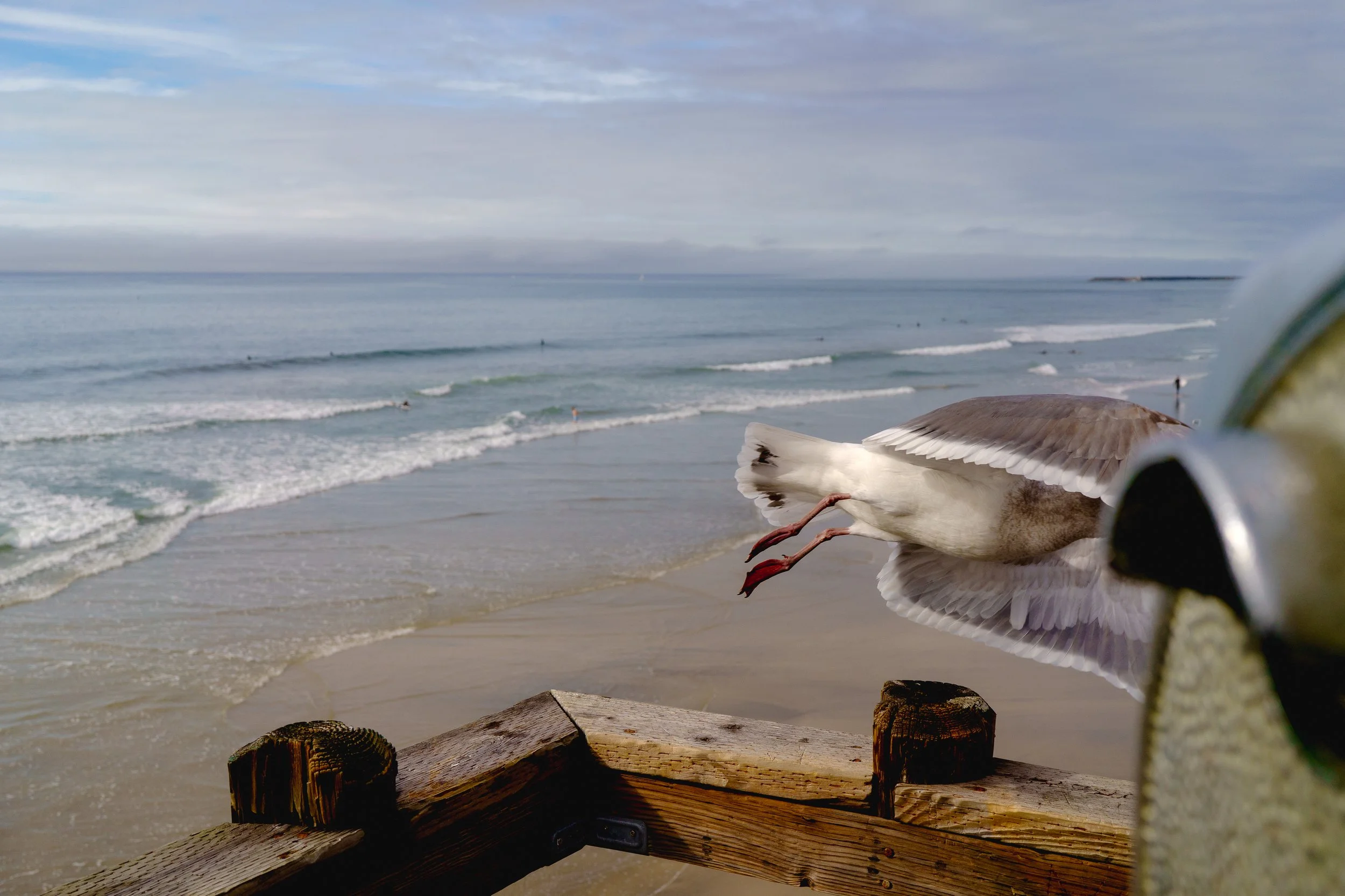  Sony a7c, 40mm San Diego, Ca  December 2025  
