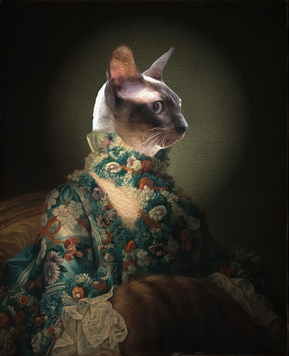Jane Kitty Austen