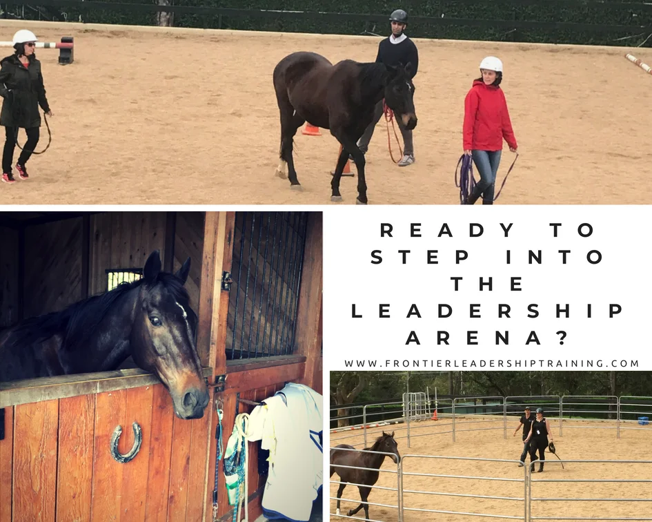 Frontier Leadership Training