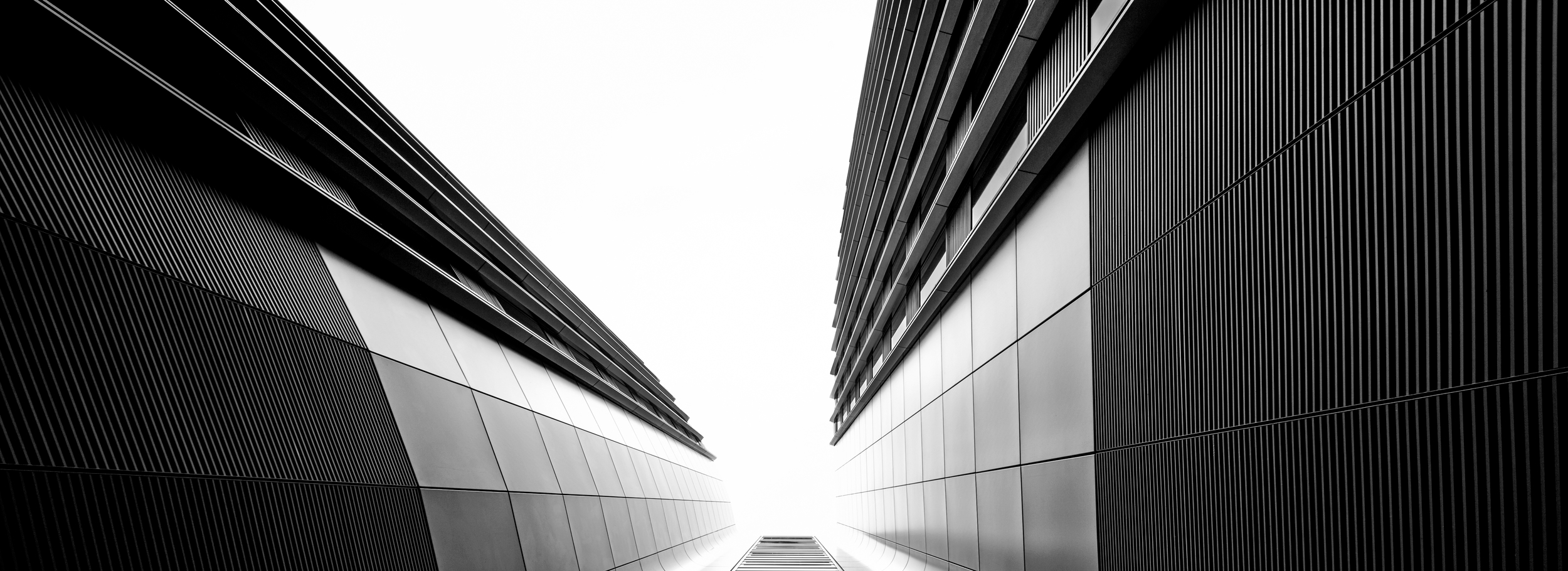 Stocksy_comp_328569 (1).jpg