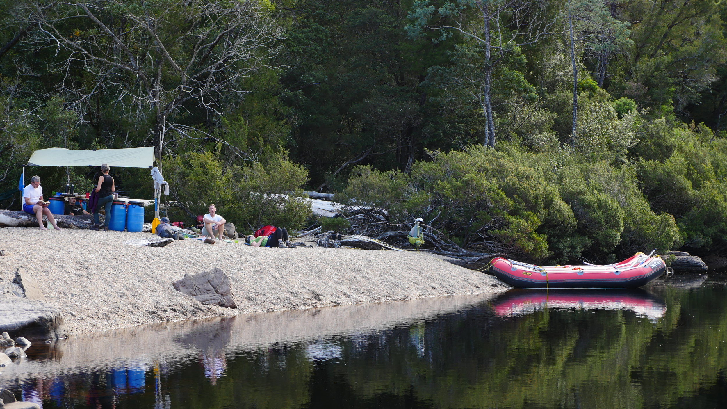 Franklin River rafting, stunning morning at Balck Forest Camp.JPG