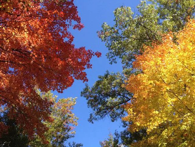 Four Beautiful Phases of Change