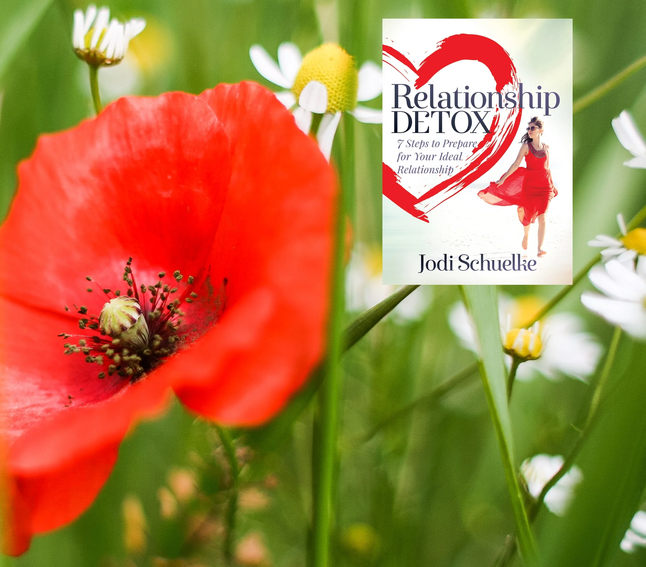 Schuelke_RelationshipDetox_Banner.jpg