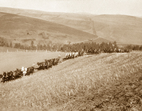 Spring Valley Vineyards.jpg