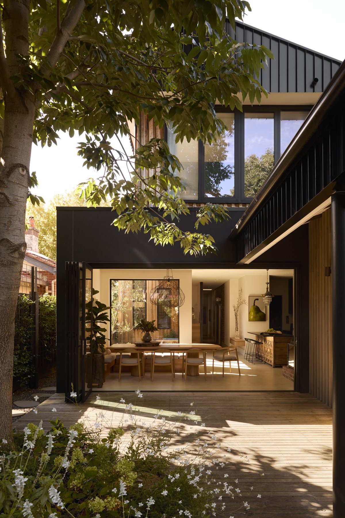 ManiArch_Elwood22383_Gemmola_LR.jpg