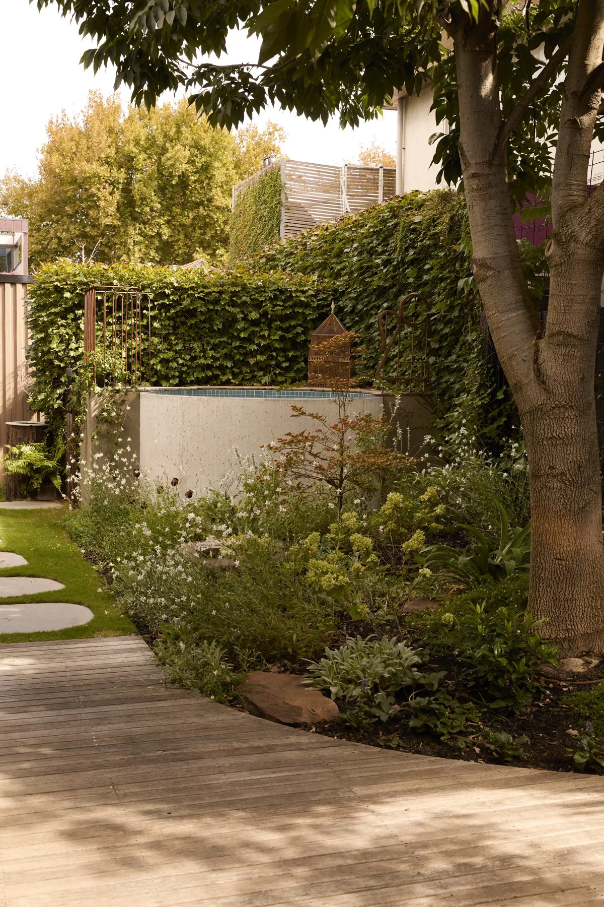 ManiArch_Elwood22449_Gemmola_LR.jpg