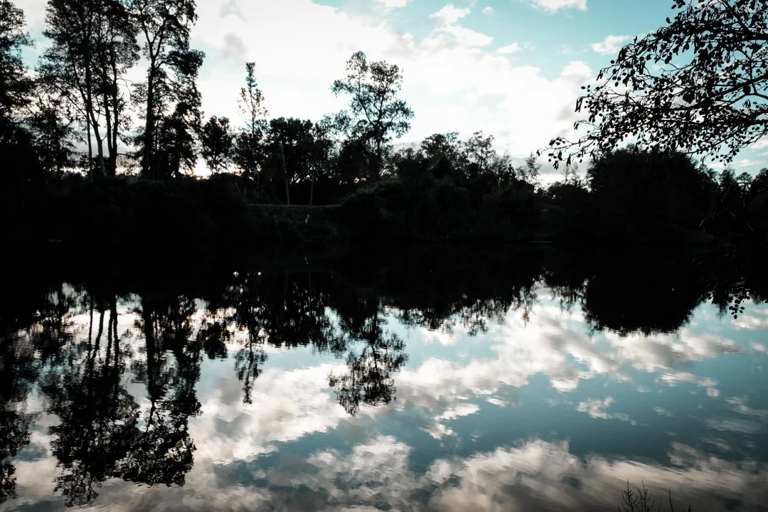 A calm body of water reflecting trees and clouds in the sky during the daytime.