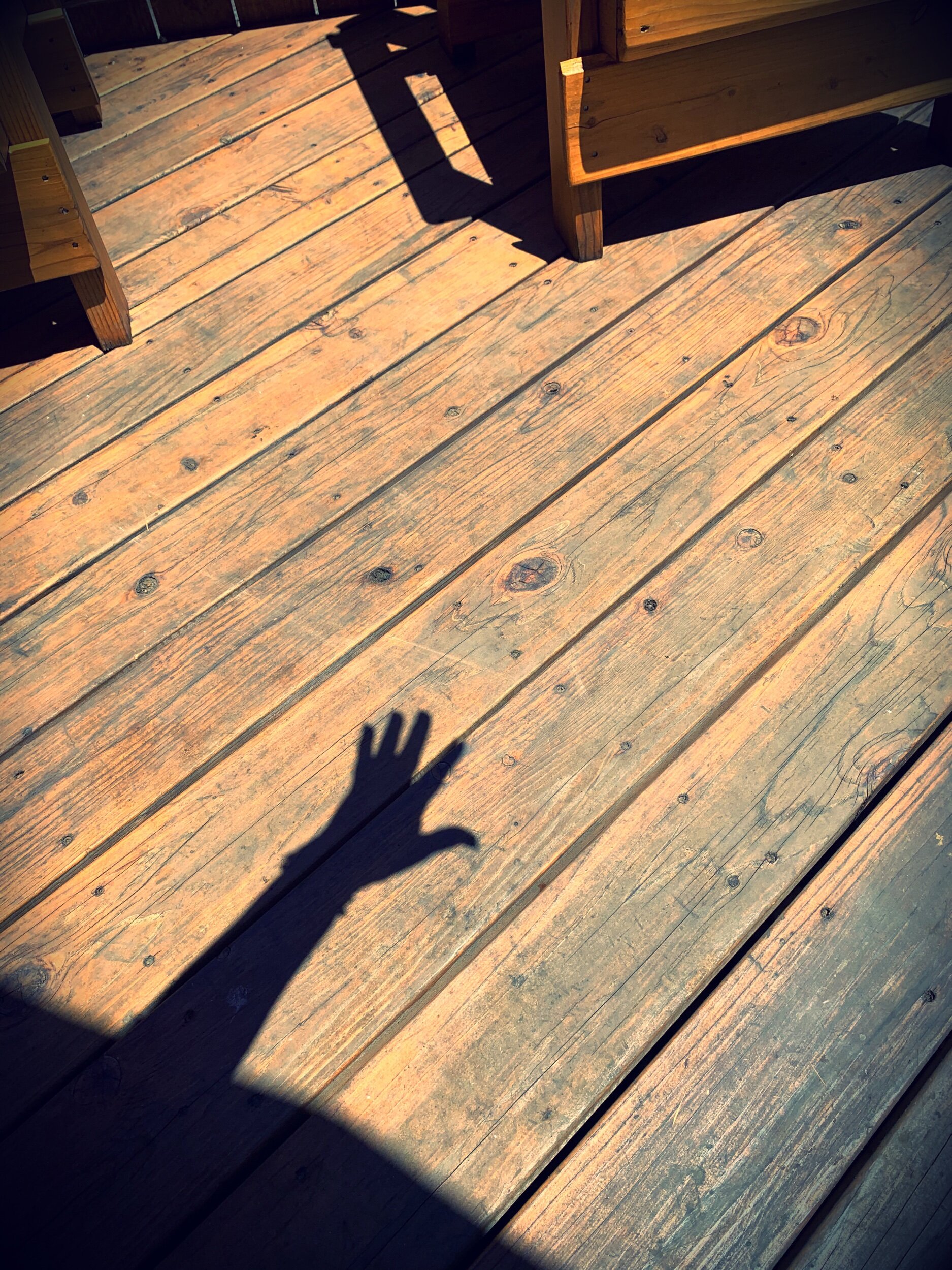 Casting hand shadows 