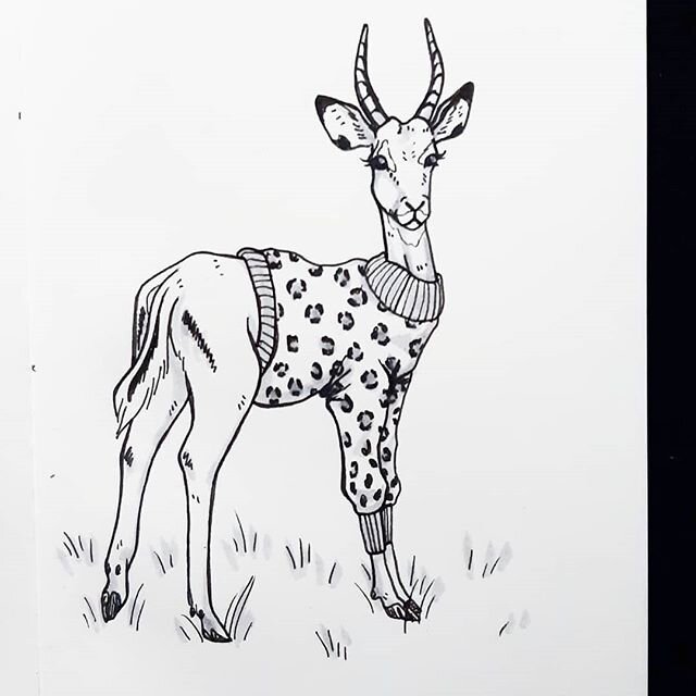 ▪️Pattern▪️
Both fashionable AND practical!
.
Just a quick sketch for today, no burnout for this gal, thanks!
Have a great Thursday♡
.
.
.
.
#inktober #inktober2019 #pattern #ink #fineliner #impala #animalart #blackandwhite #sketch