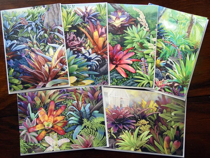 Greeting Cards - mixed design 5pk