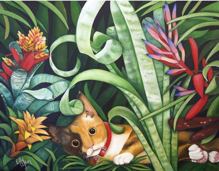 Caramello's Bromeliads