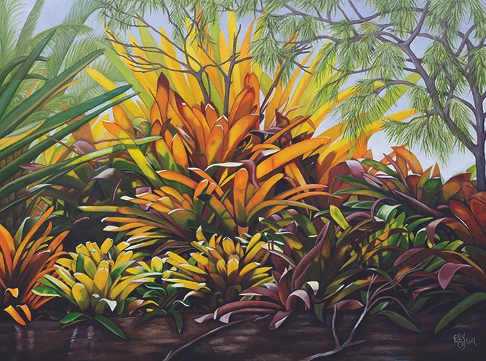 The Olive Branch Bromeliads