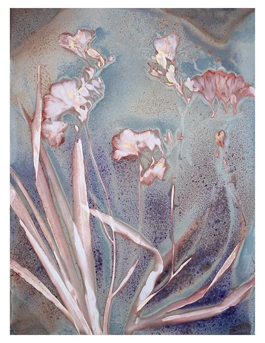 Freesias