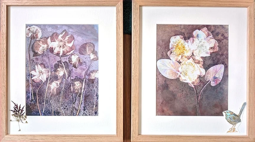 California Poppies and Camelias