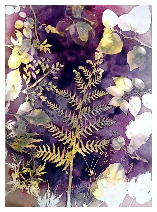 Ferns n Flowers