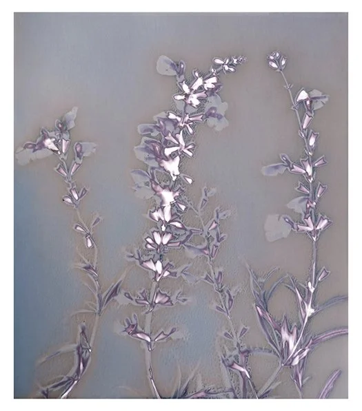 Delicate flowers