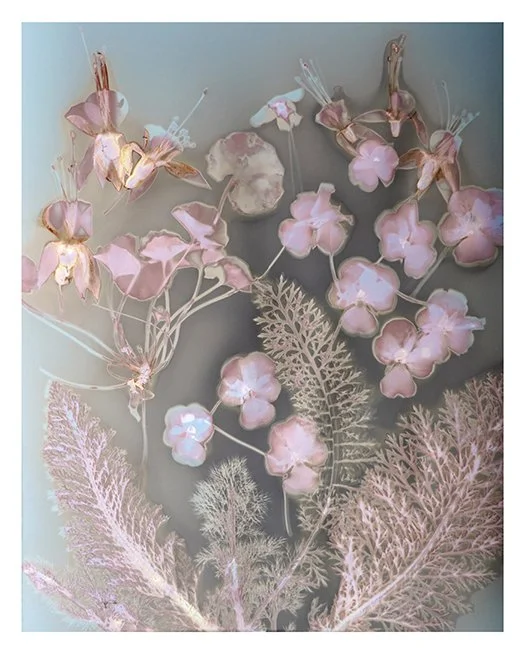 Mixed flowers