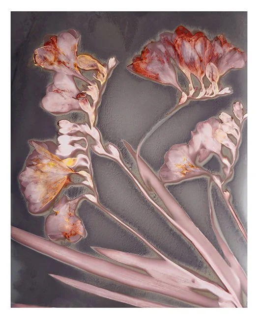 Freesias 3 (darker)