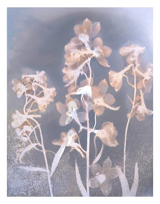 may print 01 sm.jpg