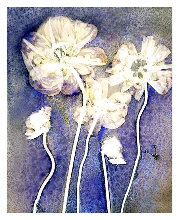Dancing Poppies