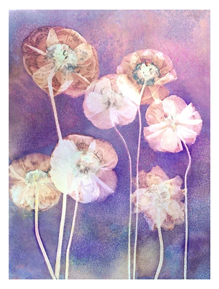 Vibrant Poppies