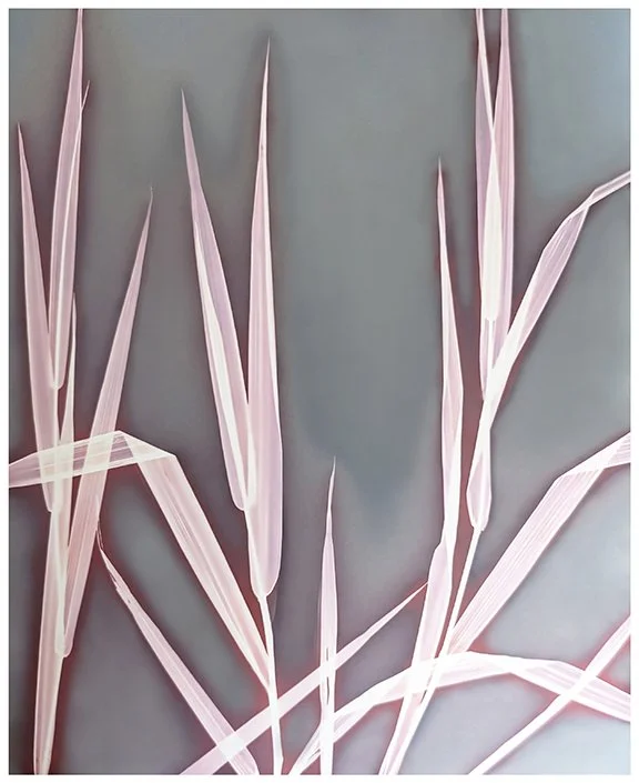 Water Reeds 2