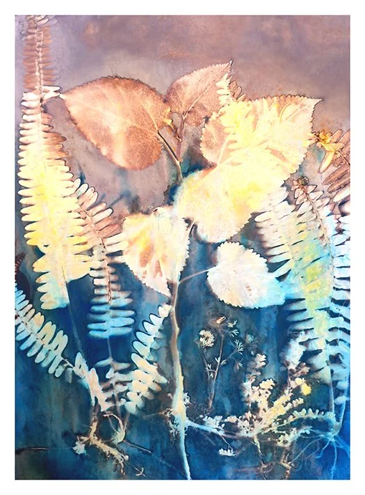 Lilys and ferns