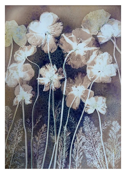Demure poppies