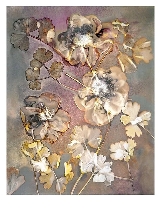 Camelias and Aquileria leaves