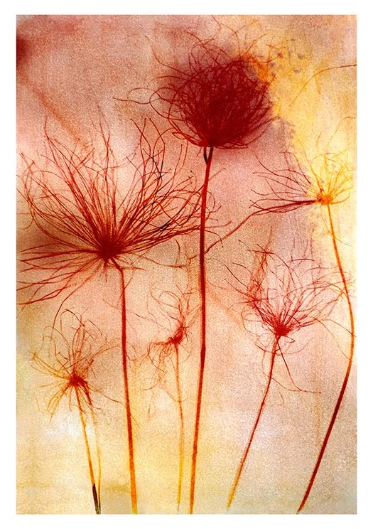 Fairy Wands
