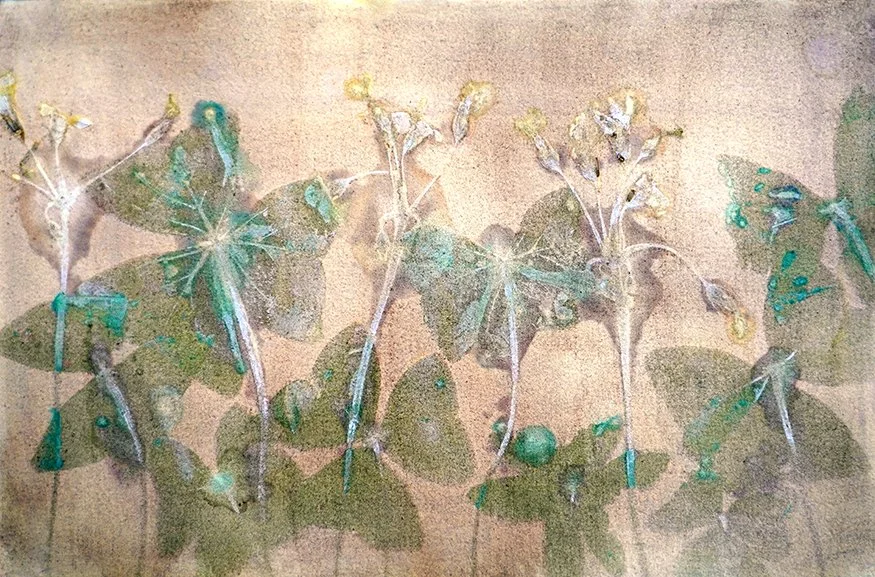 Purple Shamrock in Green