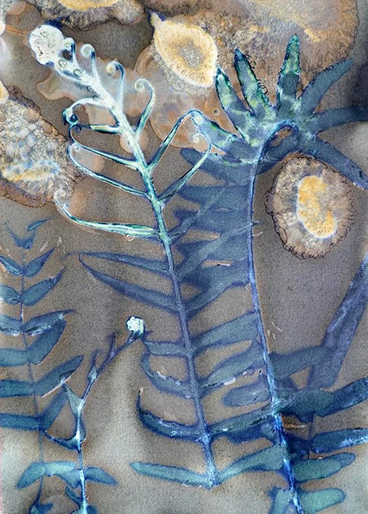 Unfurling ferns