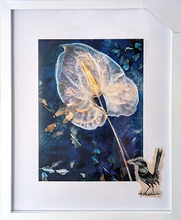 Anthurium with Blue Wren 3 of 4